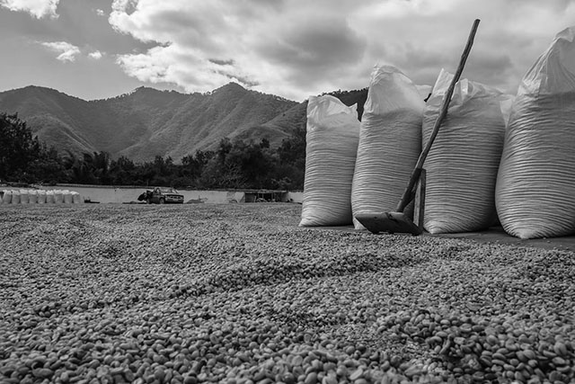 El precio de las materias primas baja tras marcar máximos por el inicio de la guerra de Ucrania